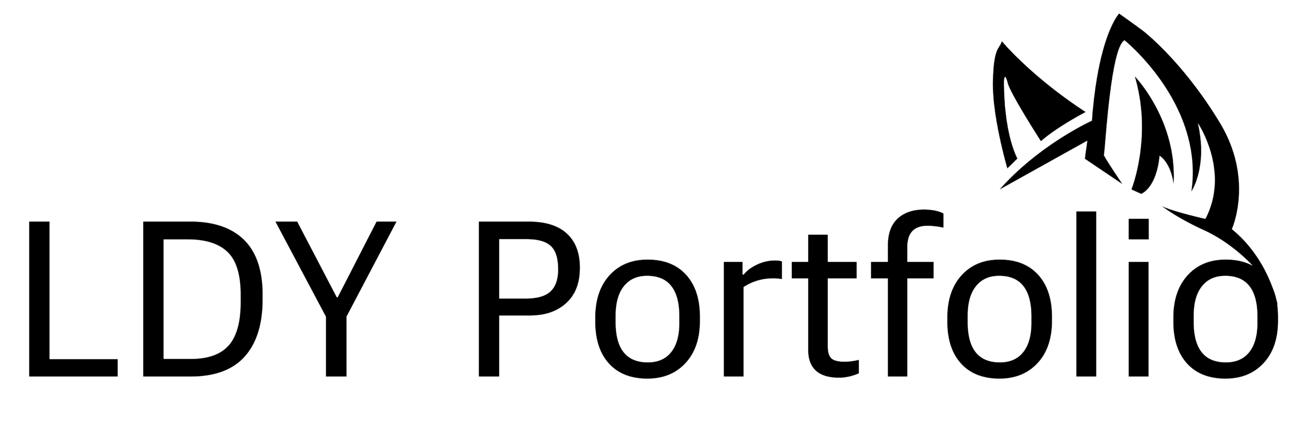 LDY Portfolio