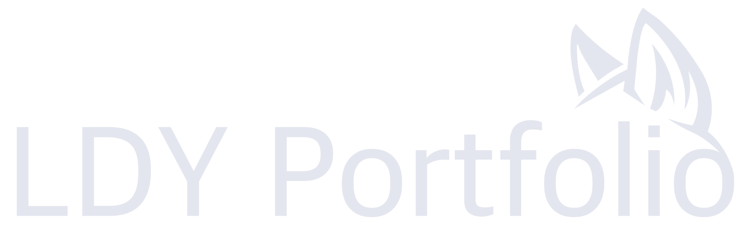 LDY Portfolio